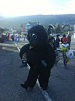 Carnival at Riquewihr 2007.